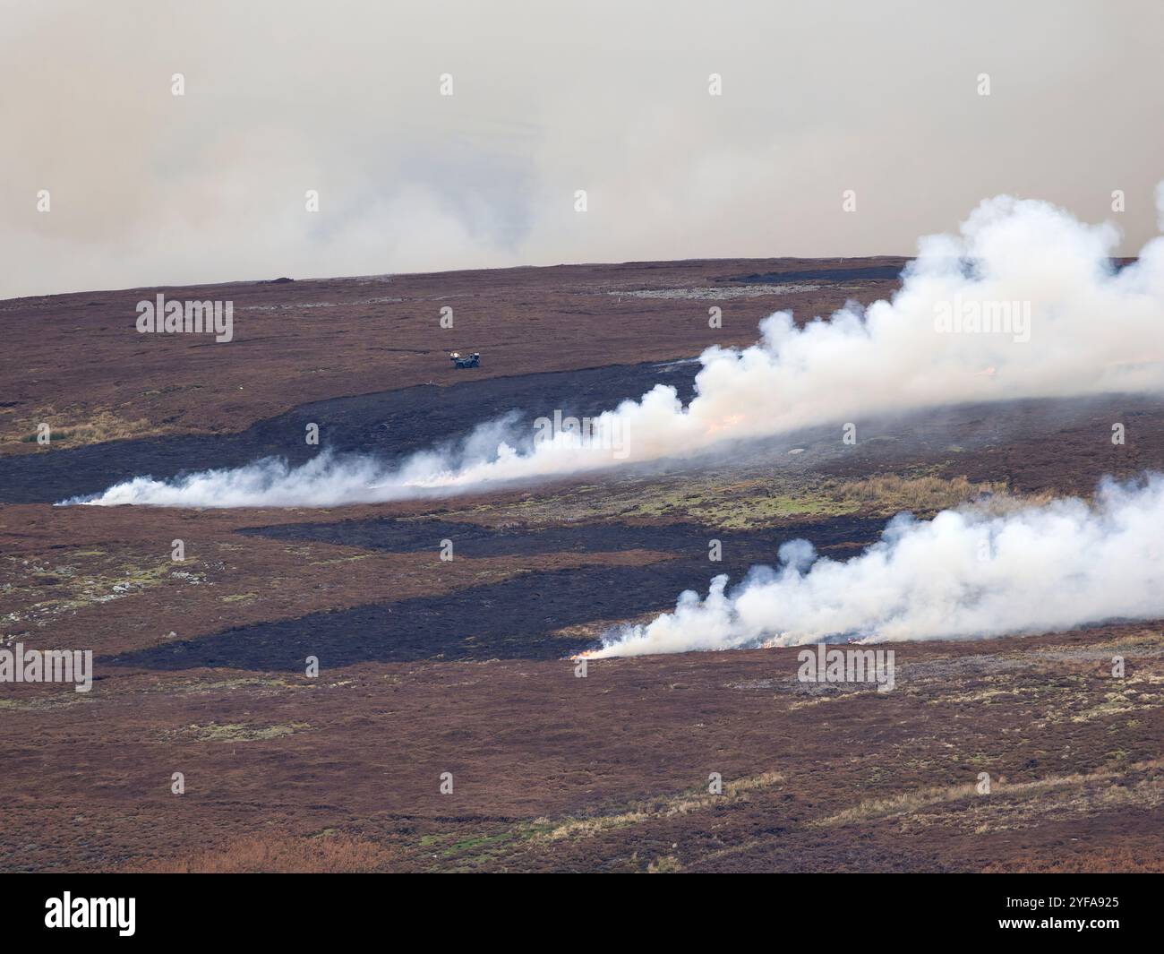 Heather Burning, da parte dei guardiani per incoraggiare la crescita giovane heather adatta al gabbiano. North Pennines, novembre 2024 Foto Stock