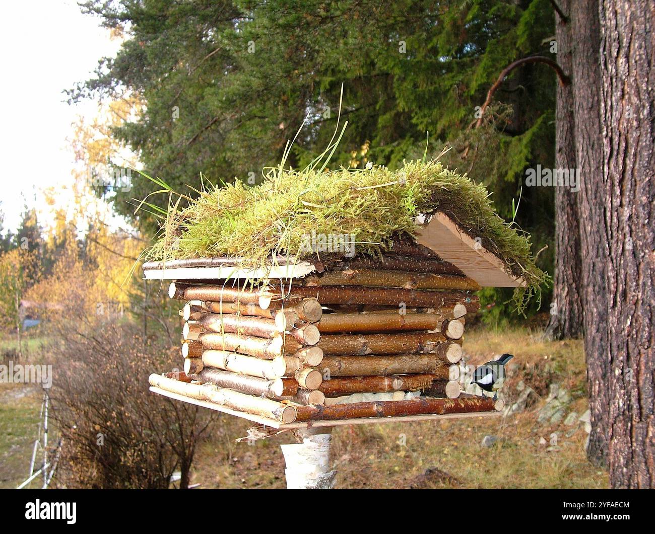 Casa degli Uccelli nel giardino Foto Stock