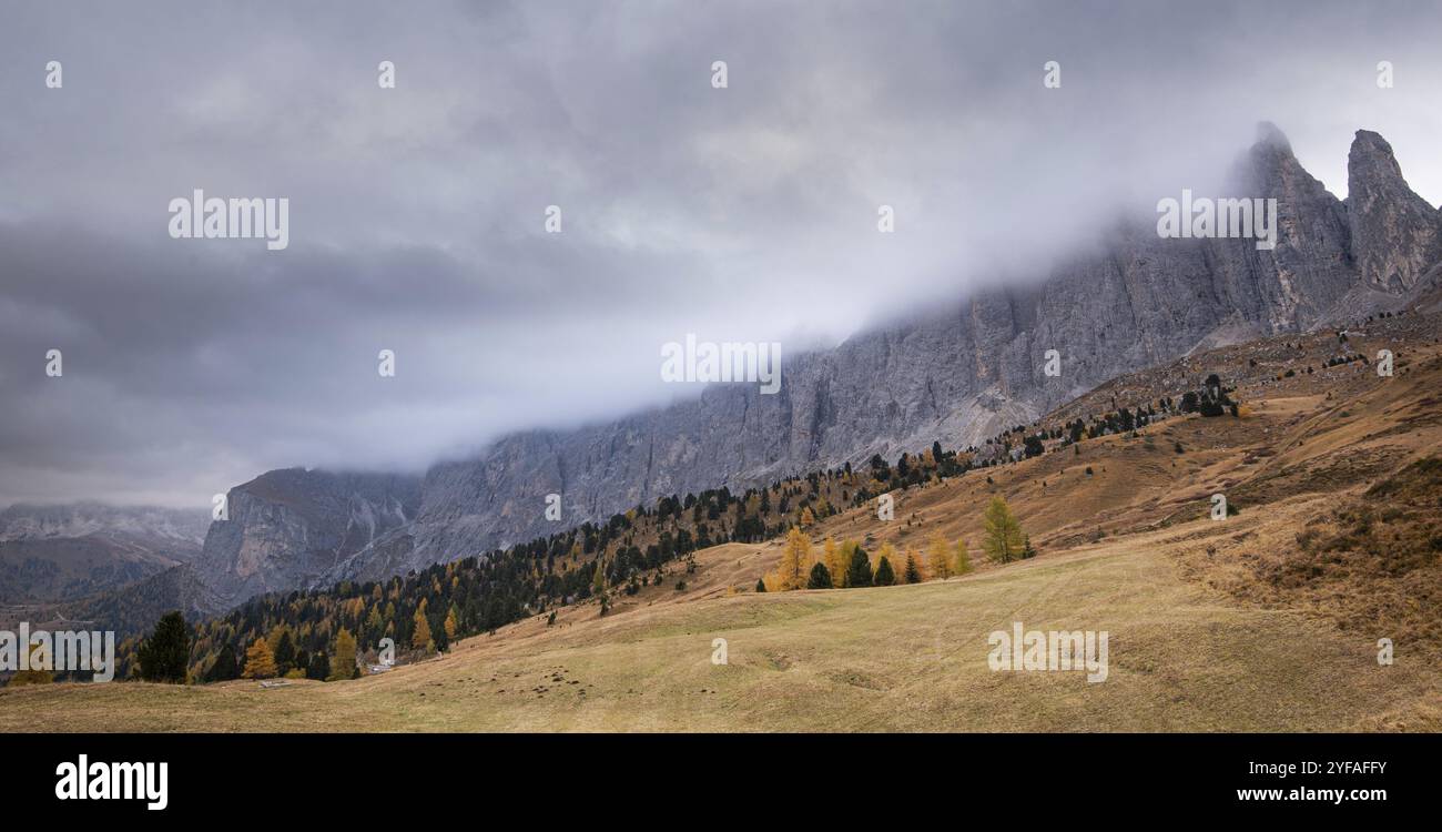 Viste mozzafiato sulle cime montuose di Langkofel o Saslonch, catena montuosa nelle dolomiti ricoperte di nebbia all'alba in Alto Adige, Ita Foto Stock