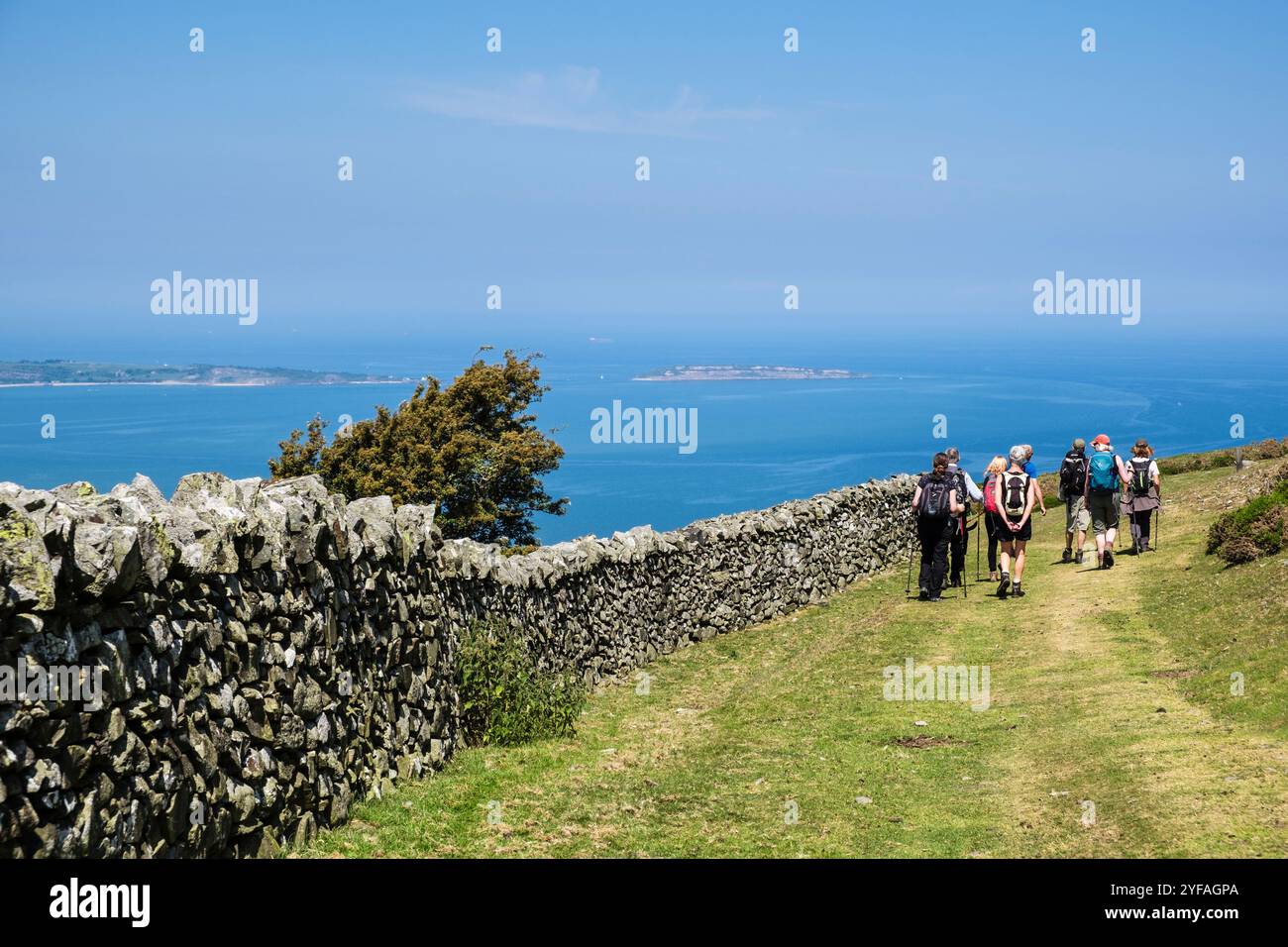 Gruppo di camminatori che camminano lungo un muro di pietra a secco con vista sullo stretto di Menai dall'alto di Llanfairfechan, Conwy, Galles, Regno Unito, Gran Bretagna, Europa Foto Stock