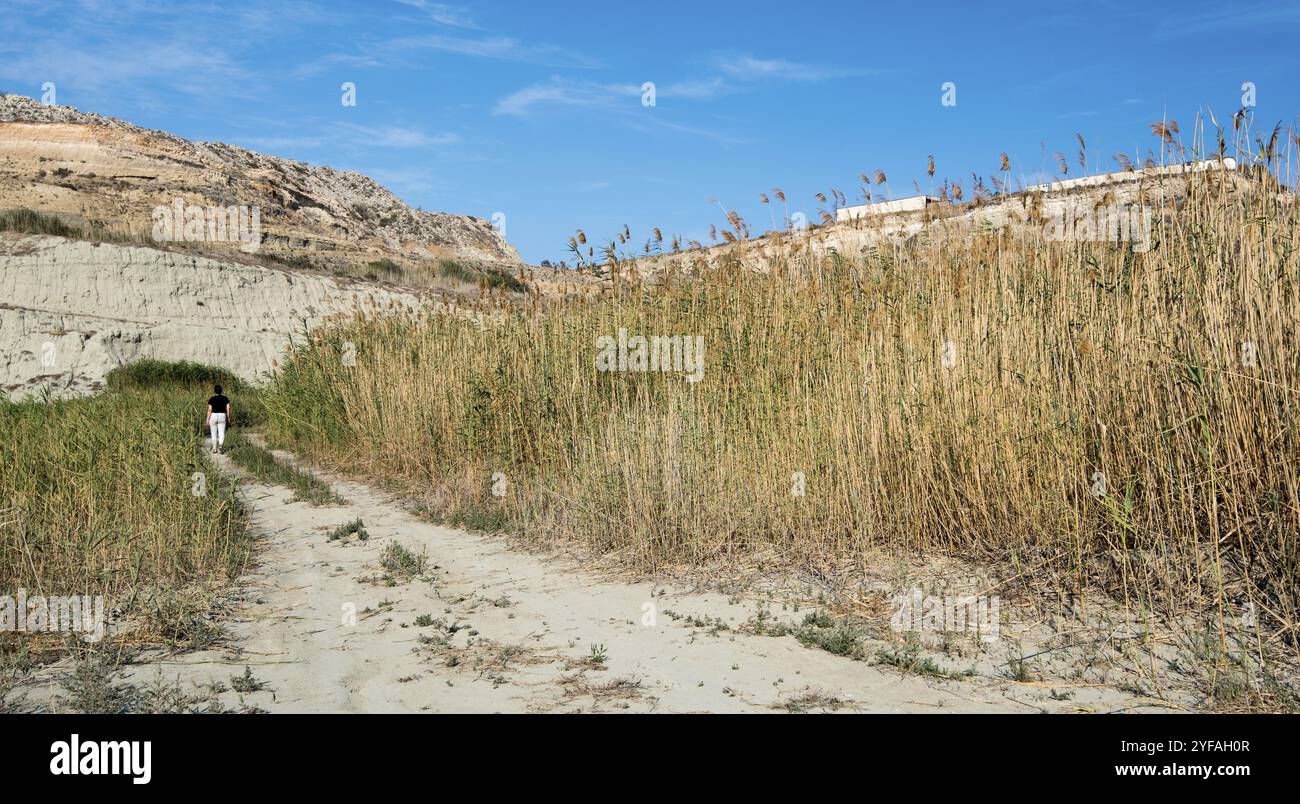 Giovane adolescente non riconosciuto che cammina nella natura tra le canne Foto Stock