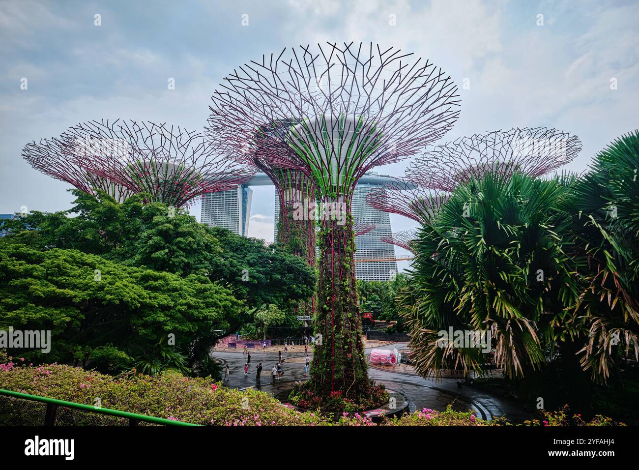 Singapore - 18 gennaio 2025: Supertree Grove a Gardens by the Bay Foto Stock
