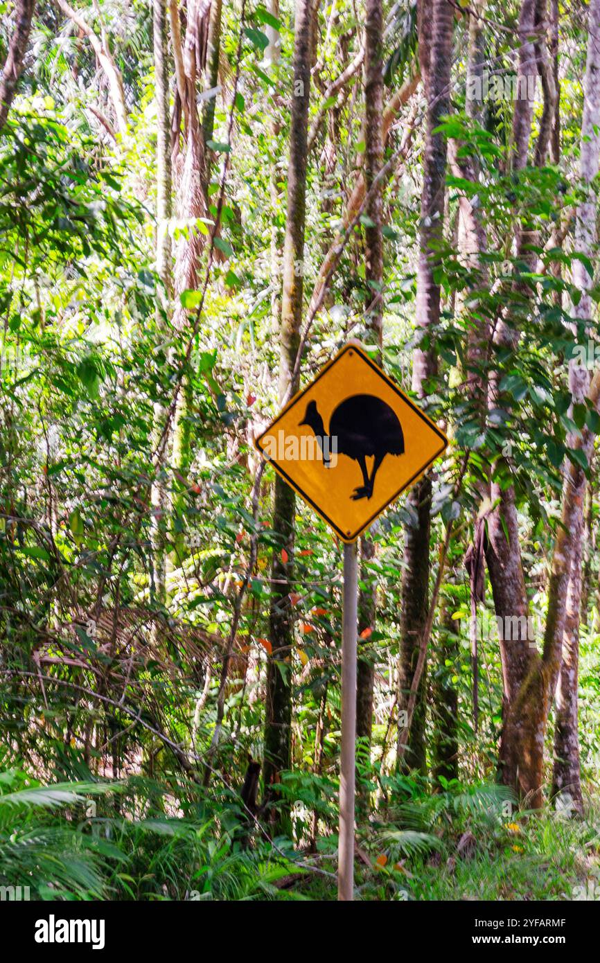 Cartello segnaletico Cassowary sulla strada a Daintree Rainforest, Queensland, Australia Foto Stock