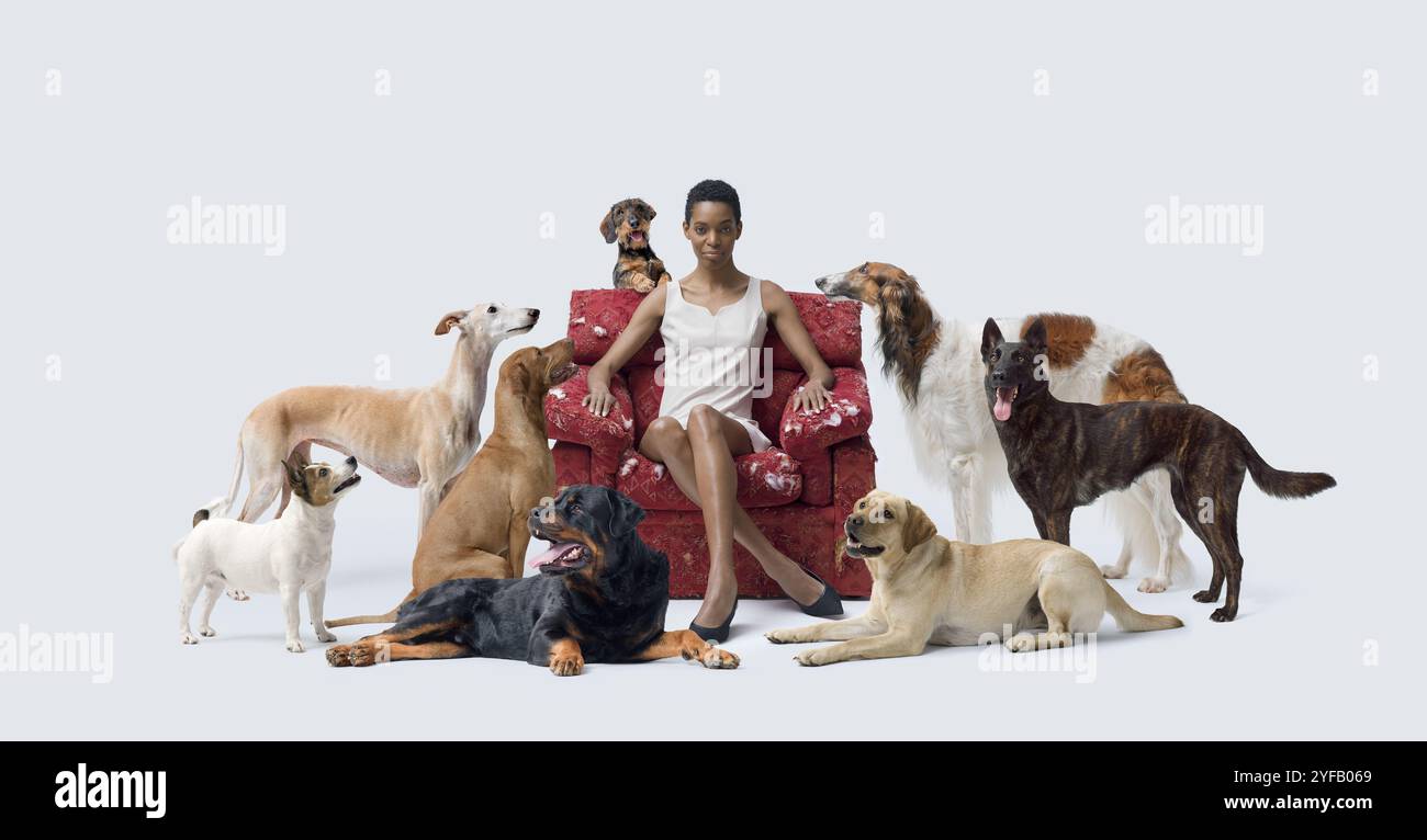 Donna elegante seduta su una poltrona strappata e in posa con un grande gruppo di cani di varie razze Foto Stock