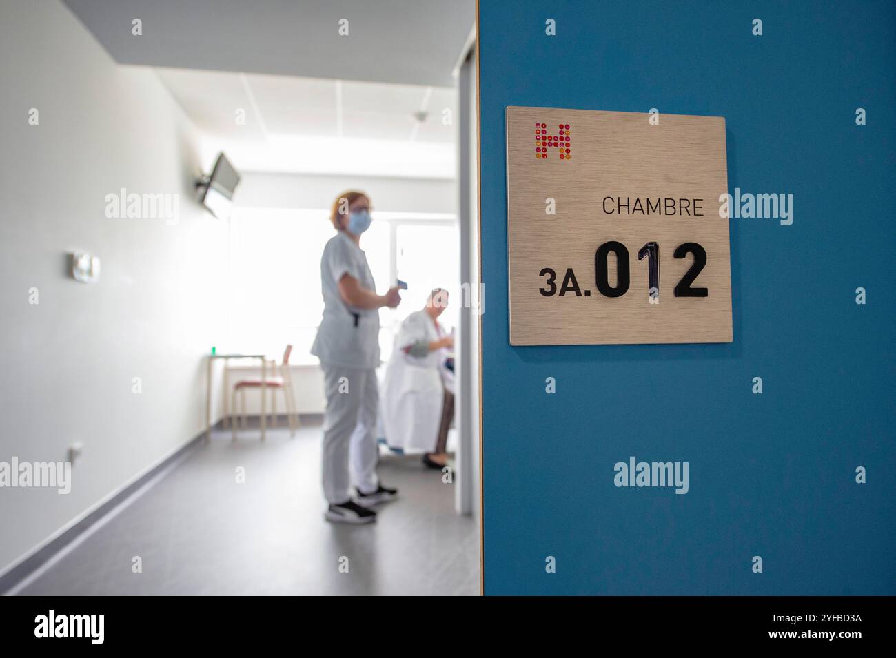 Epinal (Francia nord-orientale): Unità di cura palliativa dell'ospedale Epinal, team di assistenza palliativa mobile. Qui, un'infermiera e un medico incontrano un paziente al Foto Stock