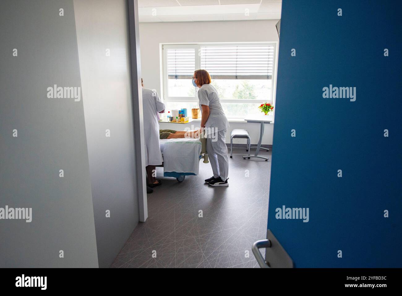 Epinal (Francia nord-orientale): Unità di cura palliativa dell'ospedale Epinal, team di assistenza palliativa mobile. Qui, un'infermiera e un medico incontrano un paziente al Foto Stock