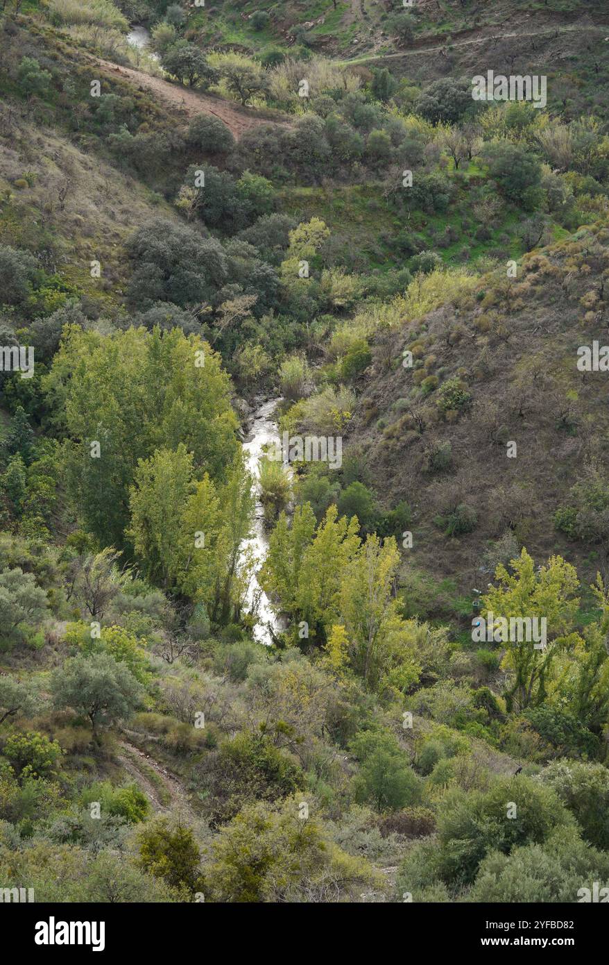 Piccolo torrente, pozzo, acqua, montagne Andalusia, Sierra de las Nieves, Rio Seco, Guaro, Andalusia, Spagna. Foto Stock