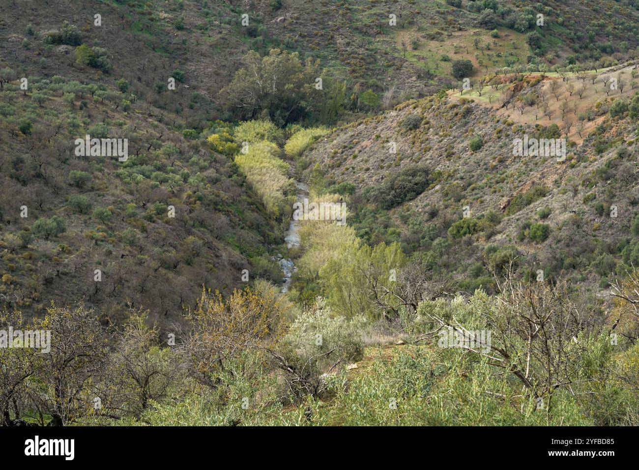 Piccolo torrente, pozzo, acqua, montagne Andalusia, Sierra de las Nieves, Rio Seco, Guaro, Andalusia, Spagna. Foto Stock