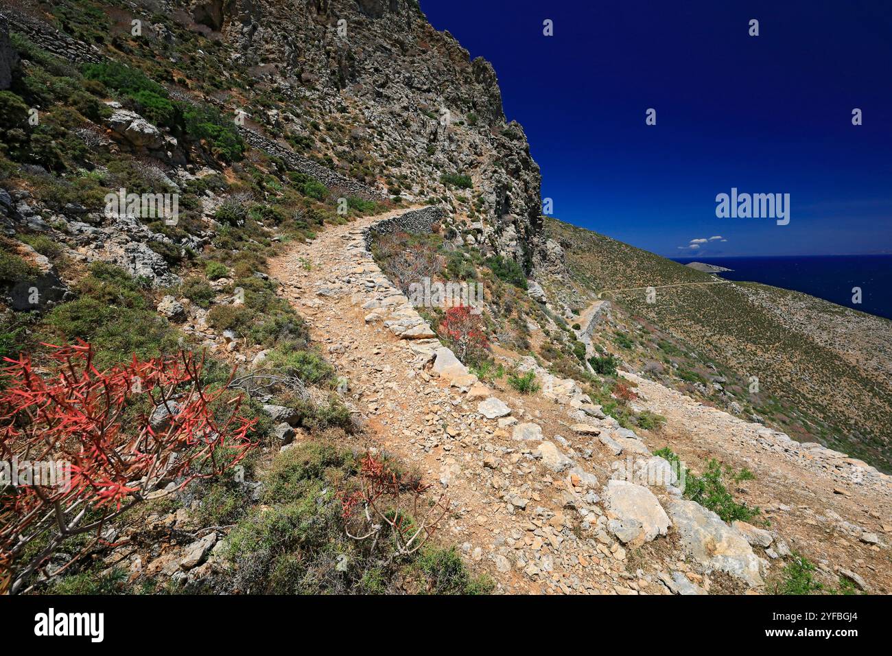 Sentiero tra Livadia e Gera, in primavera, Tilos, Isole del Dodecaneso, Egeo meridionale, Grecia. Foto Stock