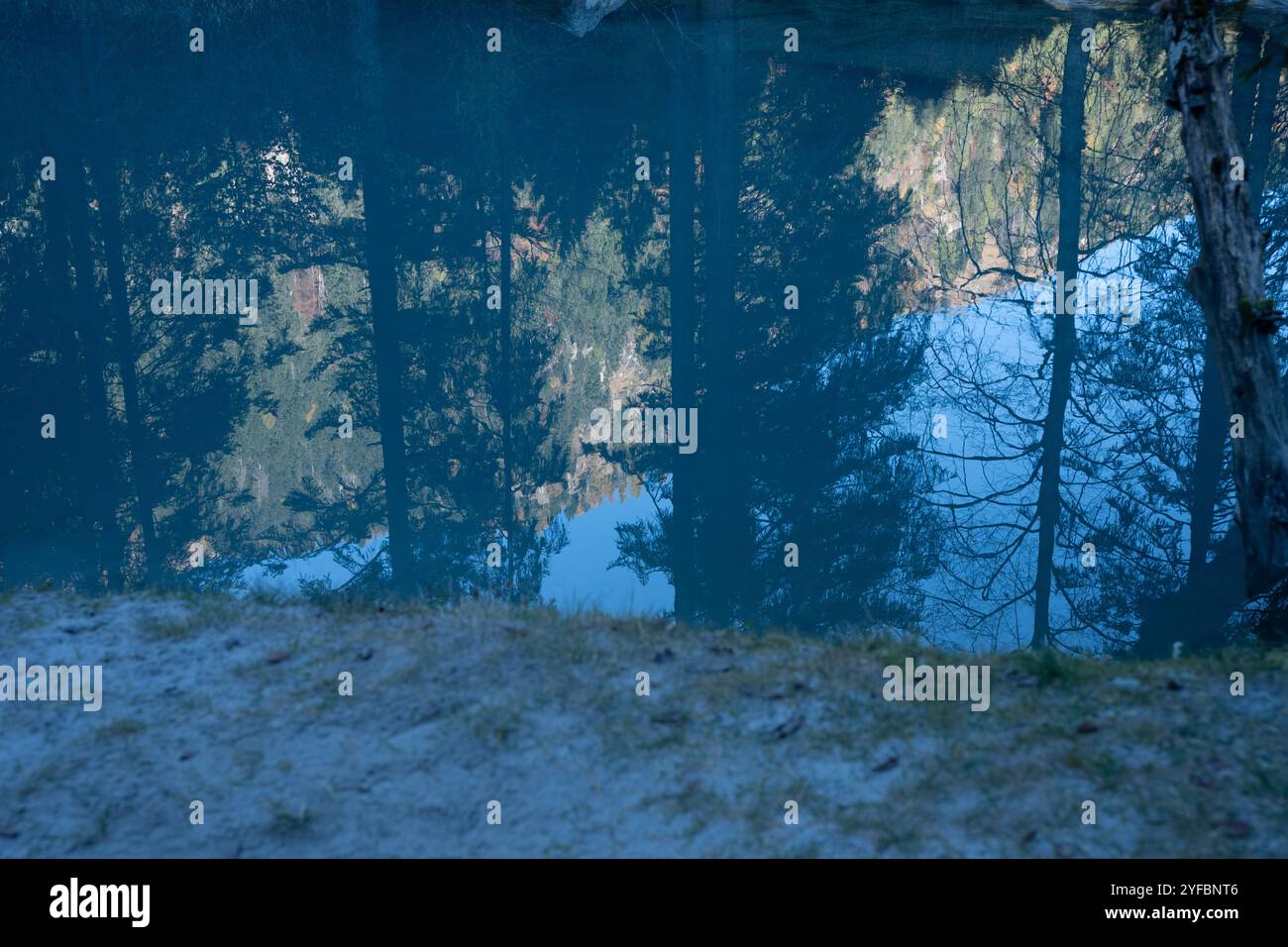 Pinzolo, incantevole cittadina del Trentino, offre paesaggi alpini, sport invernali e accesso al Parco naturale Adamello Brenta. Foto Stock