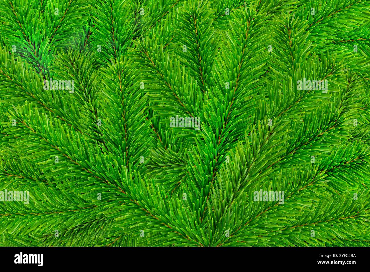 Grüner Hintergrund mit Tannenzweigen Fir Branches Closeup Foto Stock