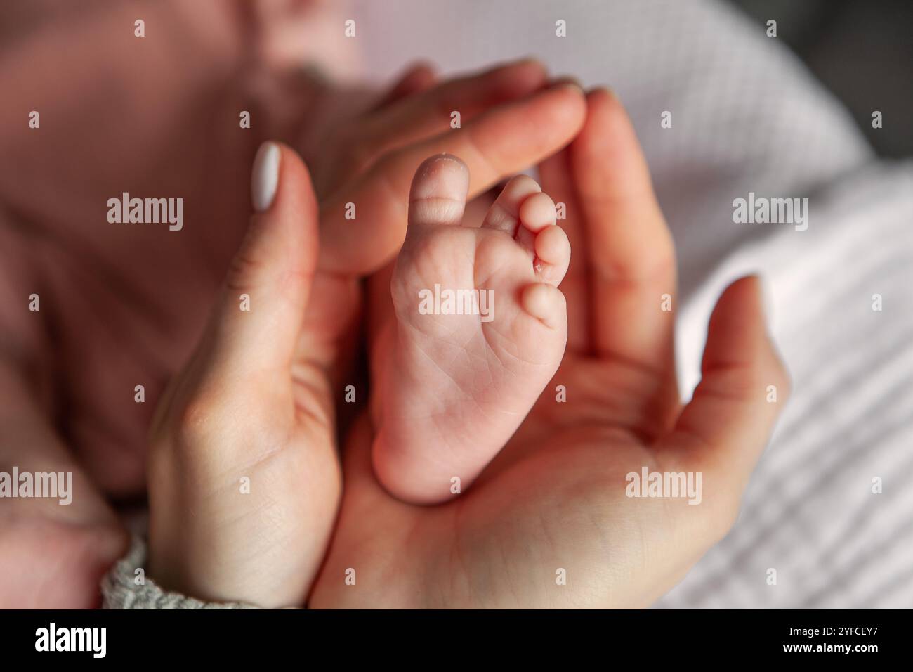 Primo piano la madre tiene delicatamente e accarezza il piede piccolo del neonato tra le mani. Momento cullante, tenerezza e cura tra madre e bambino, nuovo li Foto Stock