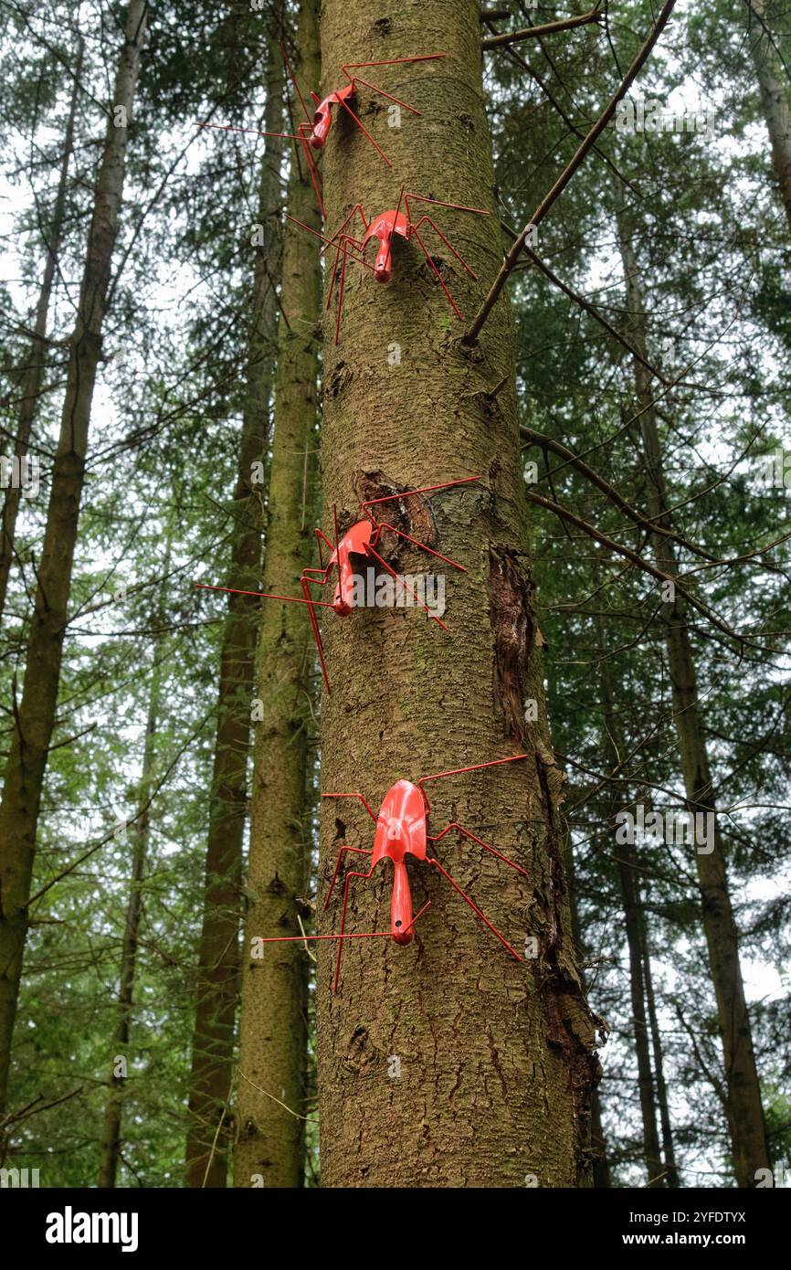 Mostra "Shovel Bugs" dell'Atelier LandArt sul Forest of Dean Sculpture Trail, evidenziando la vita nascosta degli insetti, Gloucestershire, Regno Unito, febbraio 2024. Foto Stock