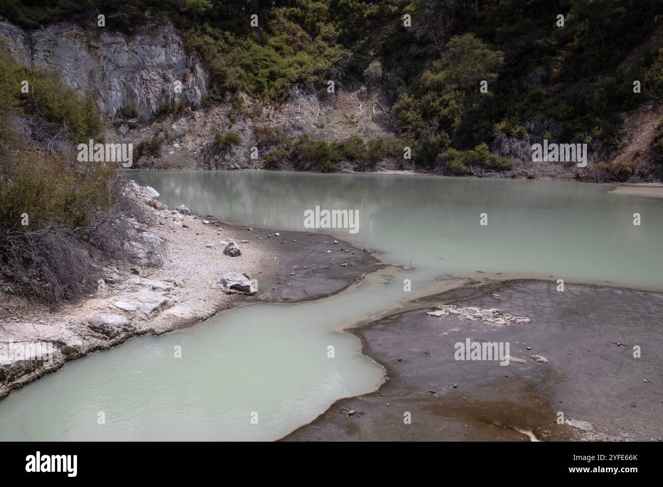 Laghi di zolfo dai colori vivaci situati nelle aree bio-termali di Rotorua, nuova Zelanda. Foto Stock