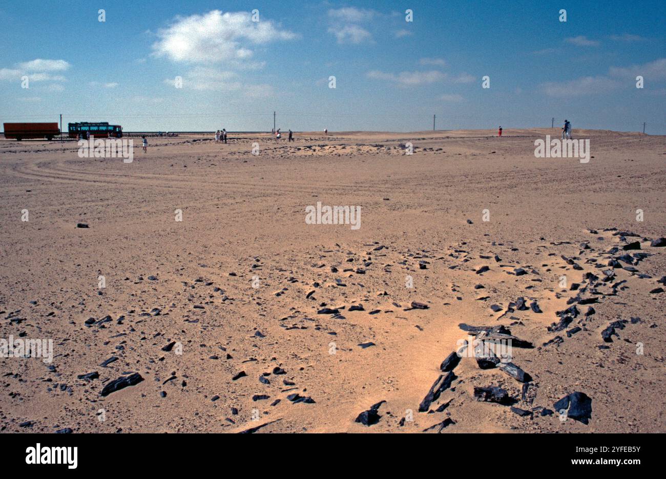 Legno fossilizzato, autobus Rotel Tours, deserto libico, Egitto, settembre 1989 Foto Stock