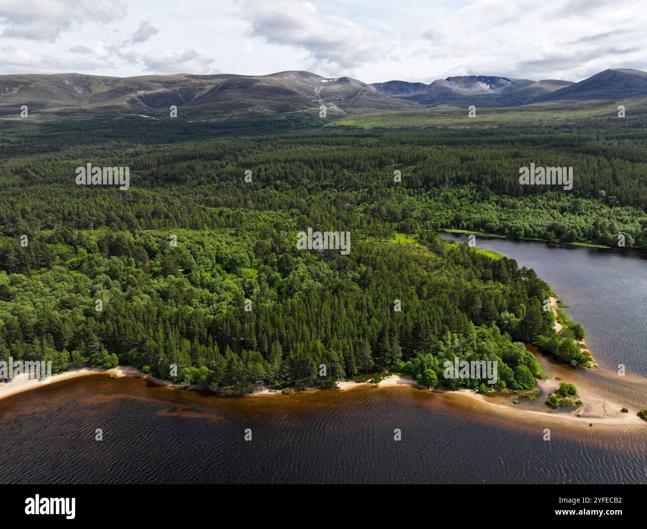 Veduta aerea del Loch Morlich Glenmore Aviemore Foto Stock