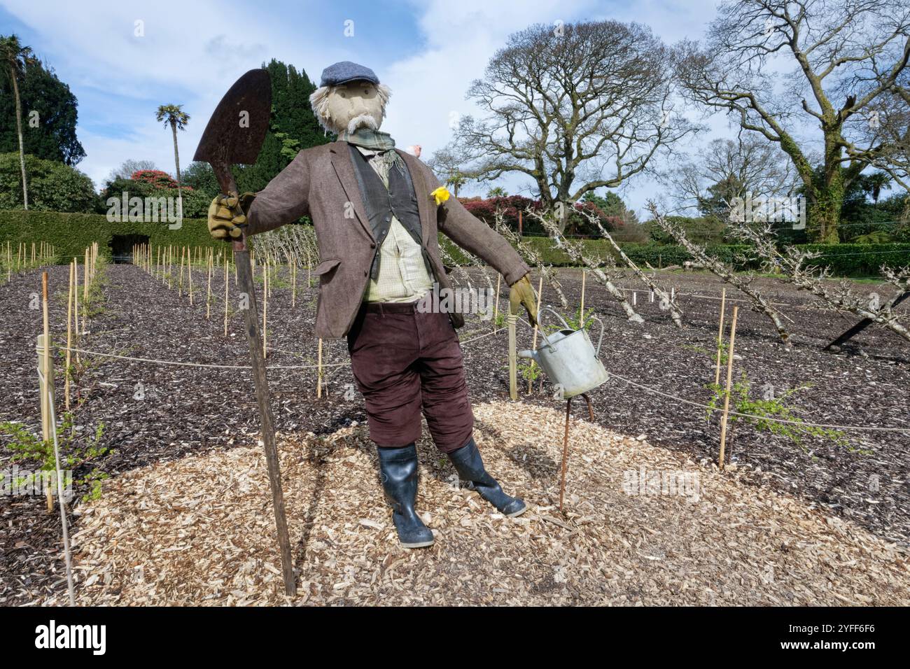 Scarecrow “Diggory” in The Kitchen Garden, Lost Gardens of Heligan, Cornovaglia, Regno Unito, marzo. Foto Stock