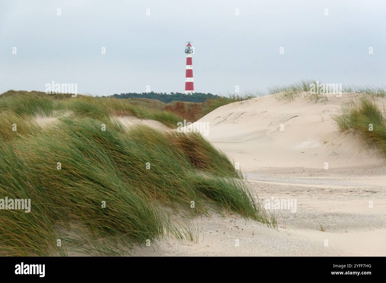 Ammira le dune sul faro rosso e bianco dell'isola olandese di Ameland Foto Stock Ammira le dune sul faro rosso e bianco dell'isola olandese di Ameland Foto Stock