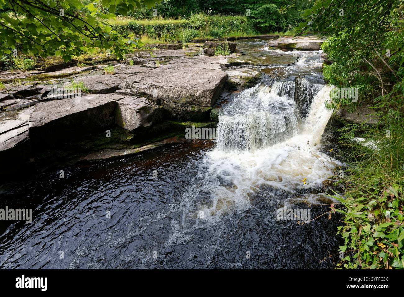 Pots of Gartness Waterfall on Endrick Water, near Killearn, Stirlingshire, Scotland, UK, luglio 2024. Foto Stock
