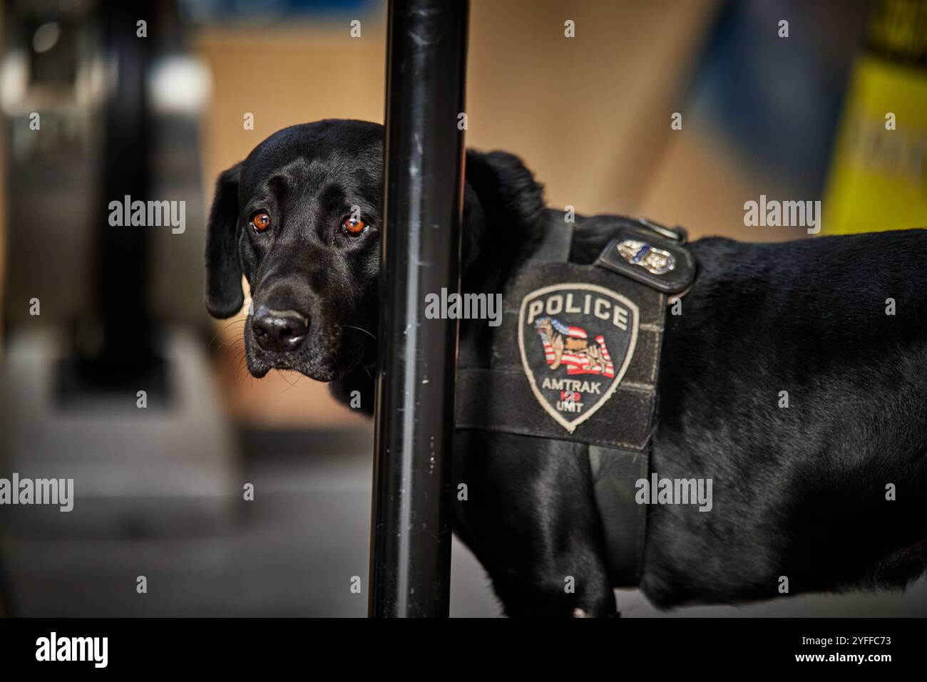 Stazione ferroviaria di Philadelphia 30th Street, polizia Amtrak e cane Foto Stock
