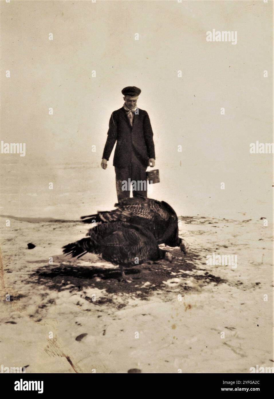 Homesteading, anni '1920, Saskatchewan, Canada Foto Stock