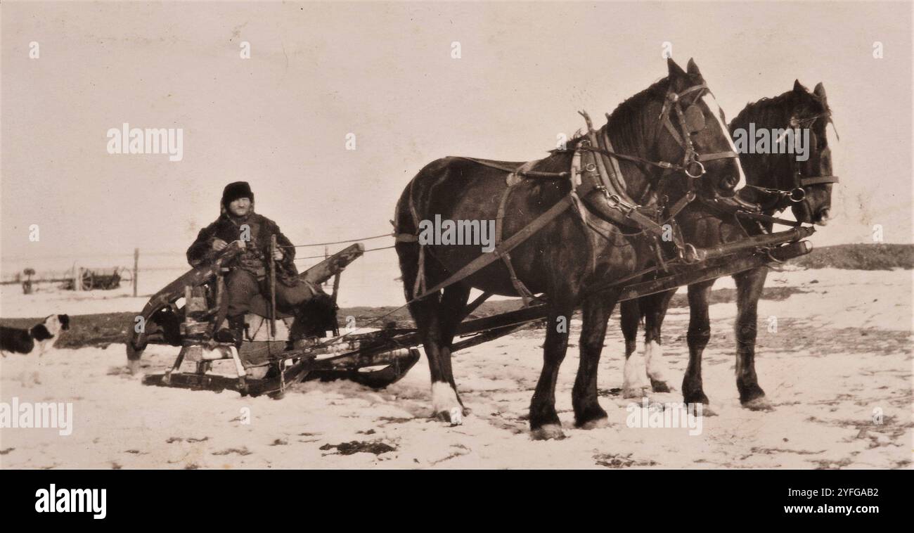 Homesteading, anni '1920, Saskatchewan, Canada Foto Stock
