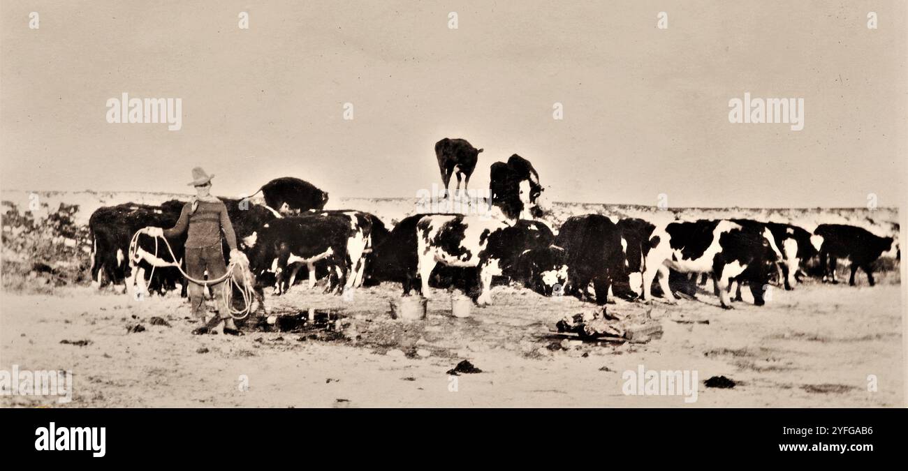 Homesteading, anni '1920, Saskatchewan, Canada Foto Stock