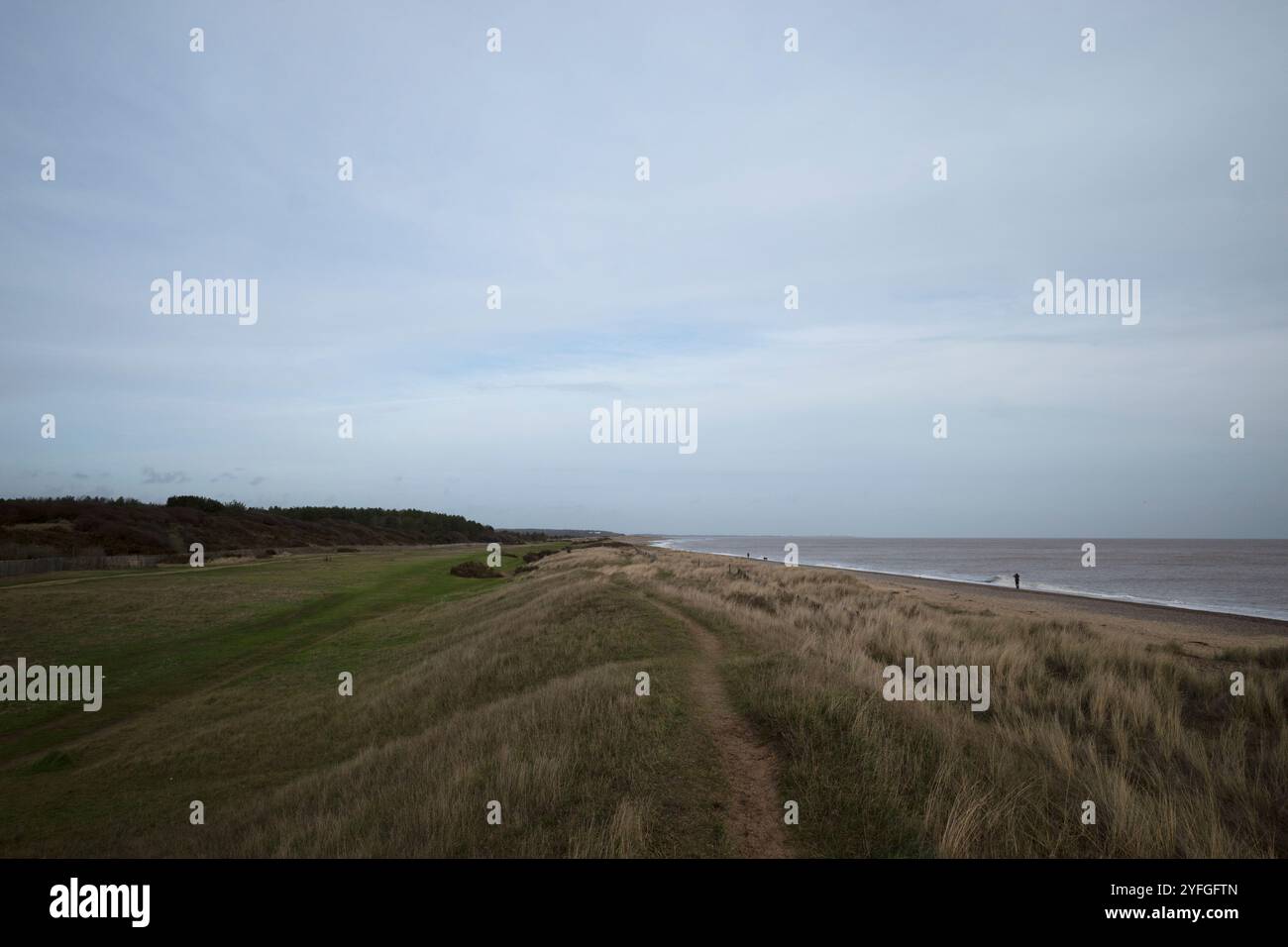 Luogo in cui verrà costruita la centrale nucleare di Sizewell C. Foto Stock