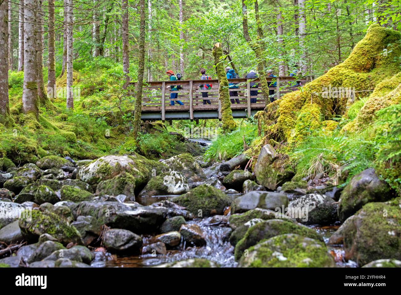 Escursionisti che attraversano il torrente Allt na Calliche a Invergarry Foto Stock