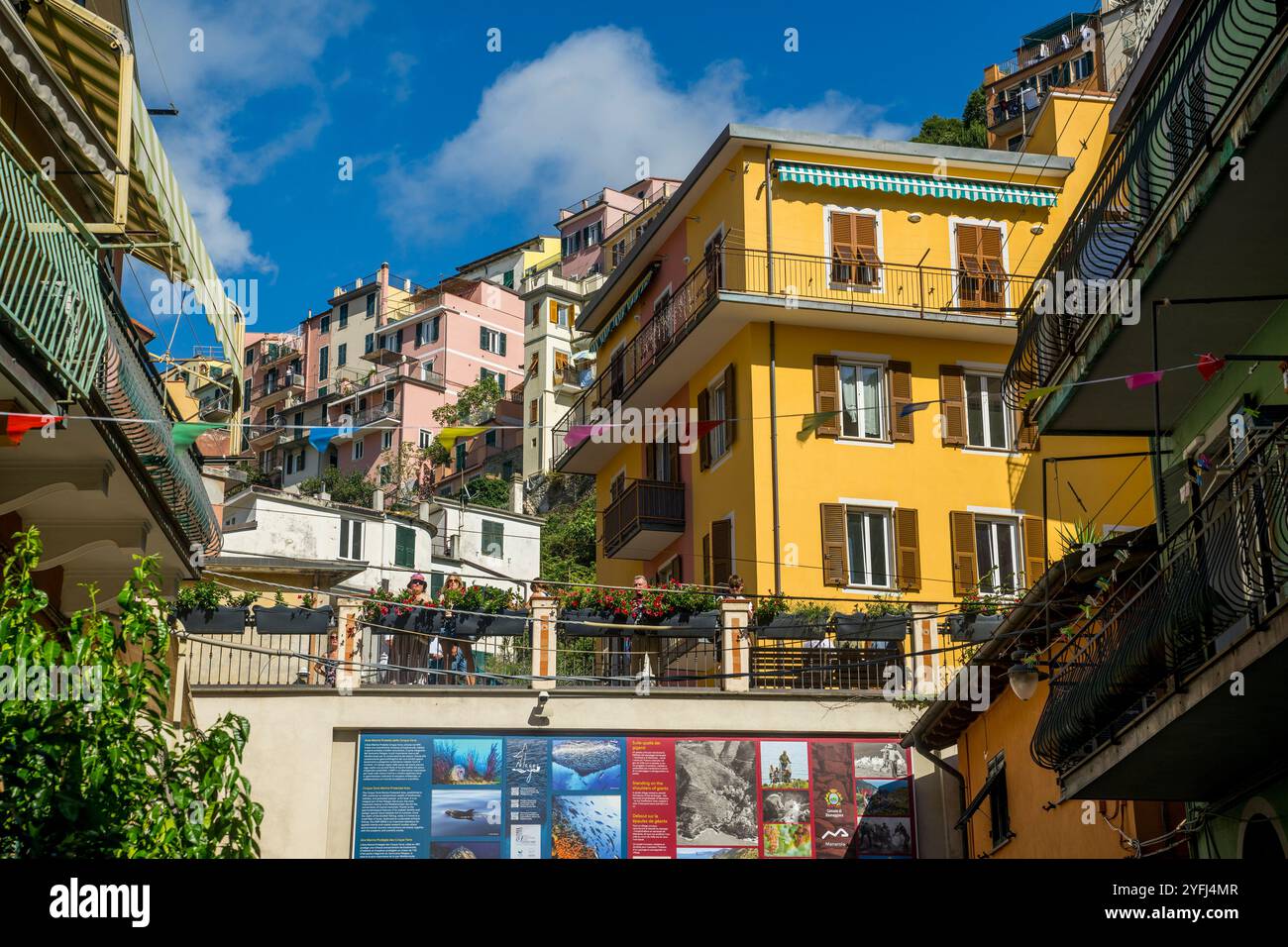 Scena di strada con case colorate di Manarola, cinque Terre, provincia di la Spezia, parte della regione Liguria, Italia settentrionale. Foto Stock