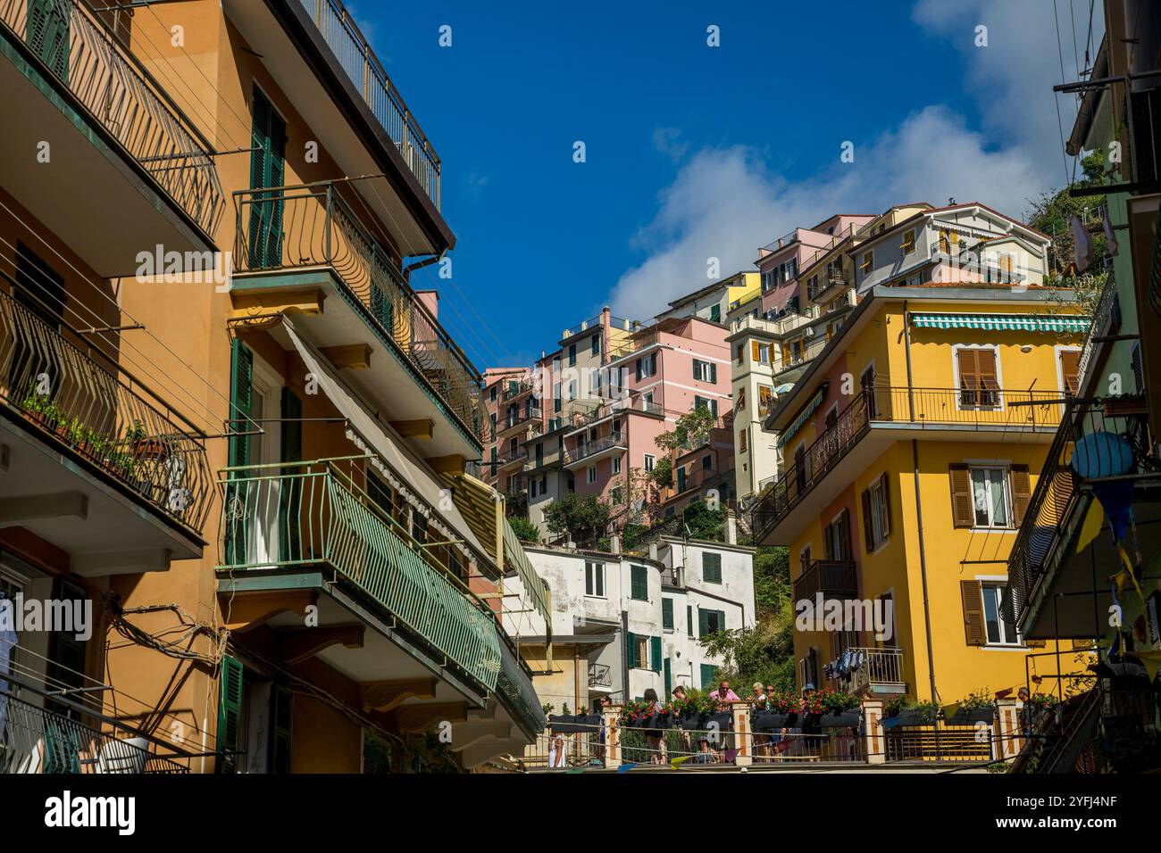 Scena di strada con case colorate di Manarola, cinque Terre, provincia di la Spezia, parte della regione Liguria, Italia settentrionale. Foto Stock