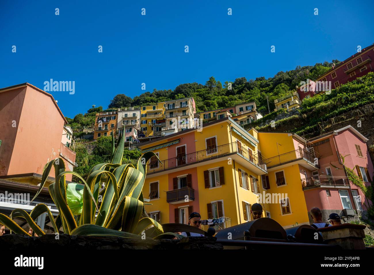 Scena di strada con case colorate di Manarola, cinque Terre, provincia di la Spezia, parte della regione Liguria, Italia settentrionale. Foto Stock