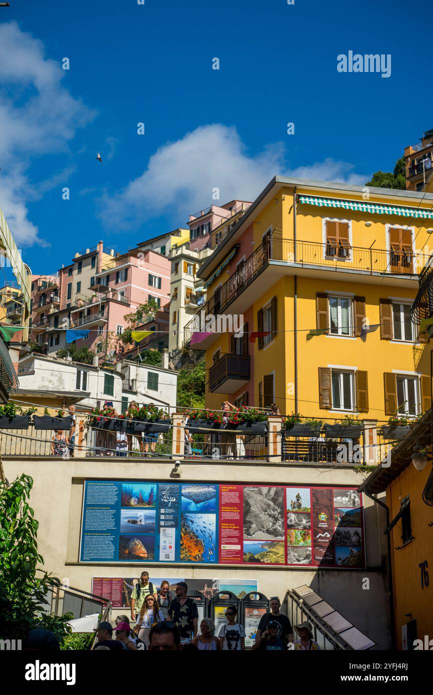Scena di strada con case colorate di Manarola, cinque Terre, provincia di la Spezia, parte della regione Liguria, Italia settentrionale. Foto Stock