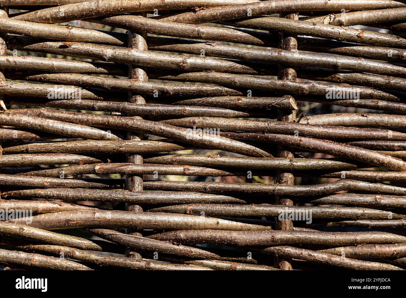 Primo piano della recinzione di nocciola intrecciata Foto Stock