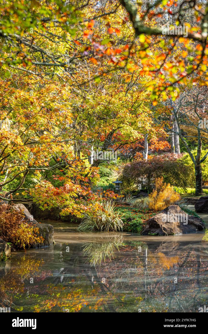 Laghetto con giardino giapponese con colorato fogliame autunnale presso i Gibbs Gardens di fama mondiale a nord di Atlanta a Ball Ground, Georgia. (USA) Foto Stock