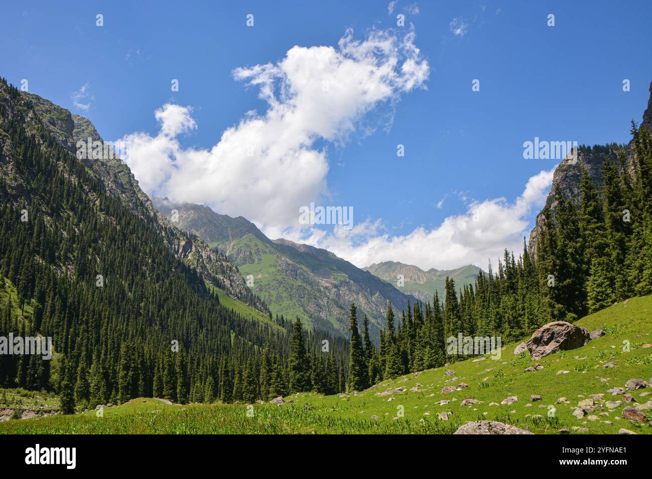 Idilliaco paesaggio estivo con sentieri escursionistici in montagna con splendidi pascoli verdi e freschi, cima di montagne e nuvole. Terskey Alatoo Foto Stock