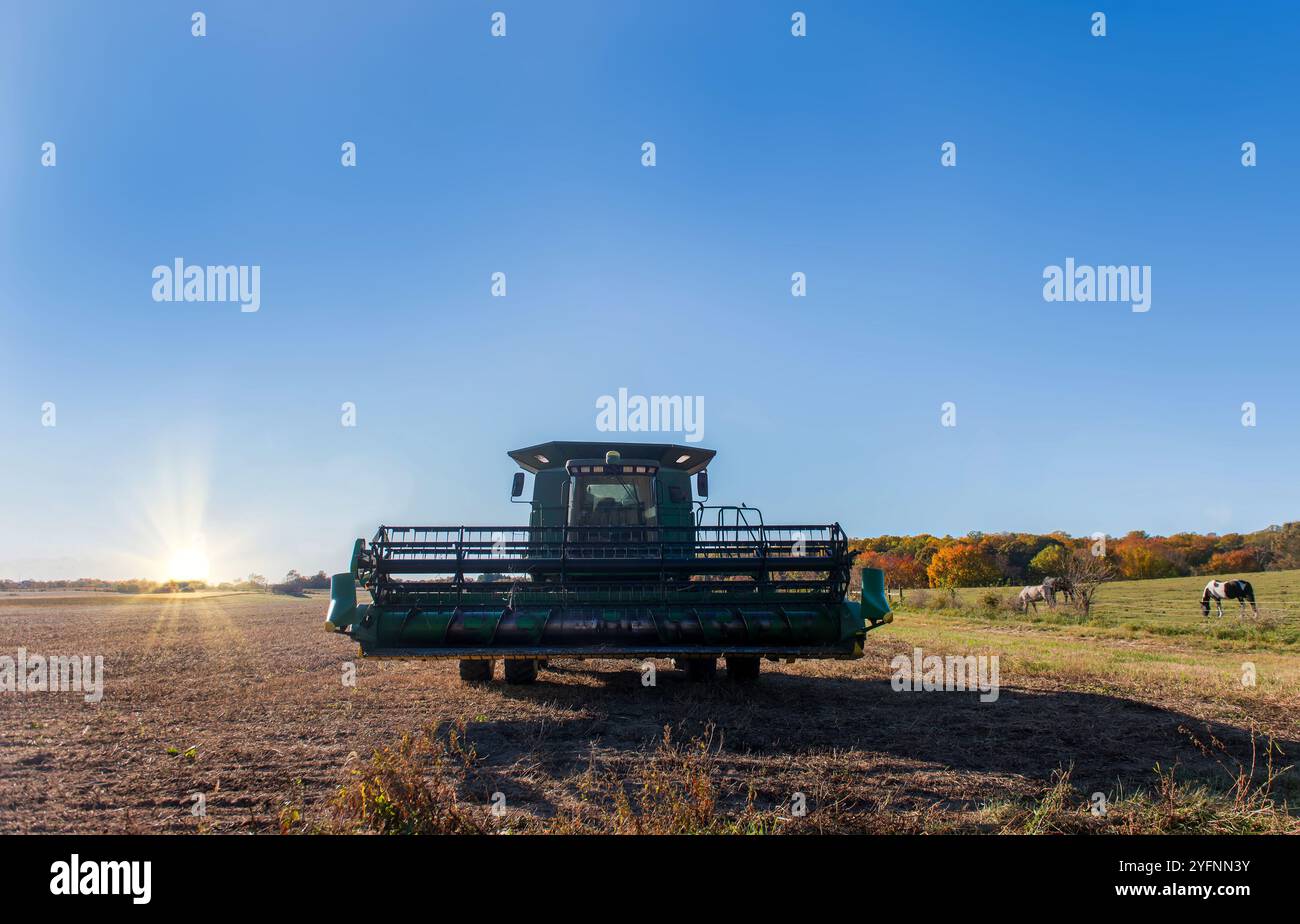 Il sole sorge su una fattoria del Maryland con trattore in un campo e cavalli al pascolo durante l'autunno Foto Stock