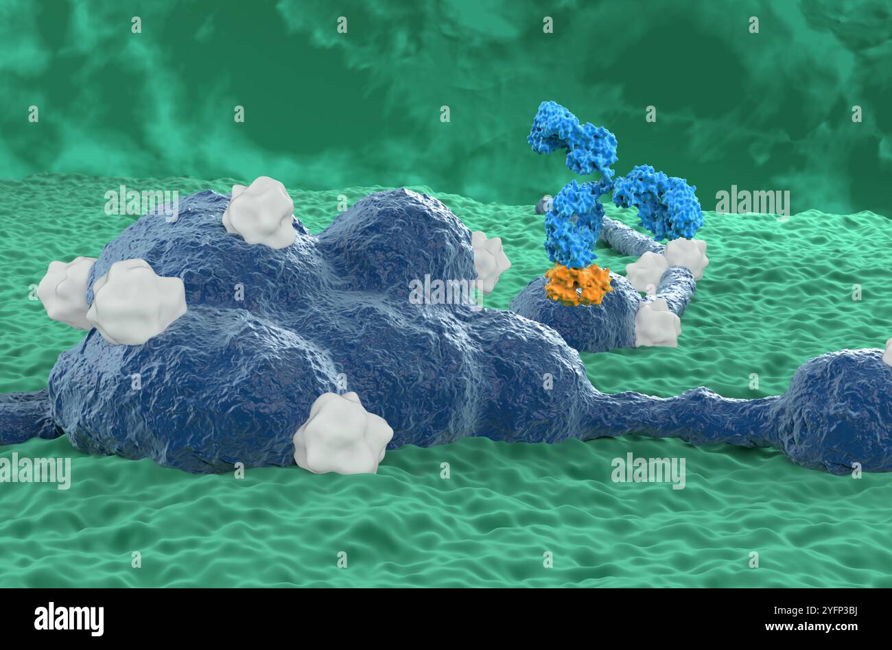 Terapia con anticorpi monoclonali nel neuroblastoma - Vista ravvicinata illustrazione 3d. Foto Stock