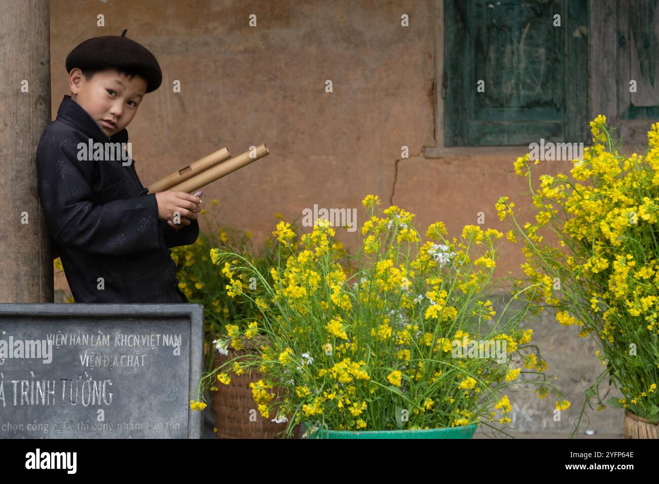 DONG VAN, ha GIANG, VIETNAM, 11 gennaio 2024 bambini di minoranza etnica con cesti di fiori di colza a Hagiang, Vietnam. Foto Stock