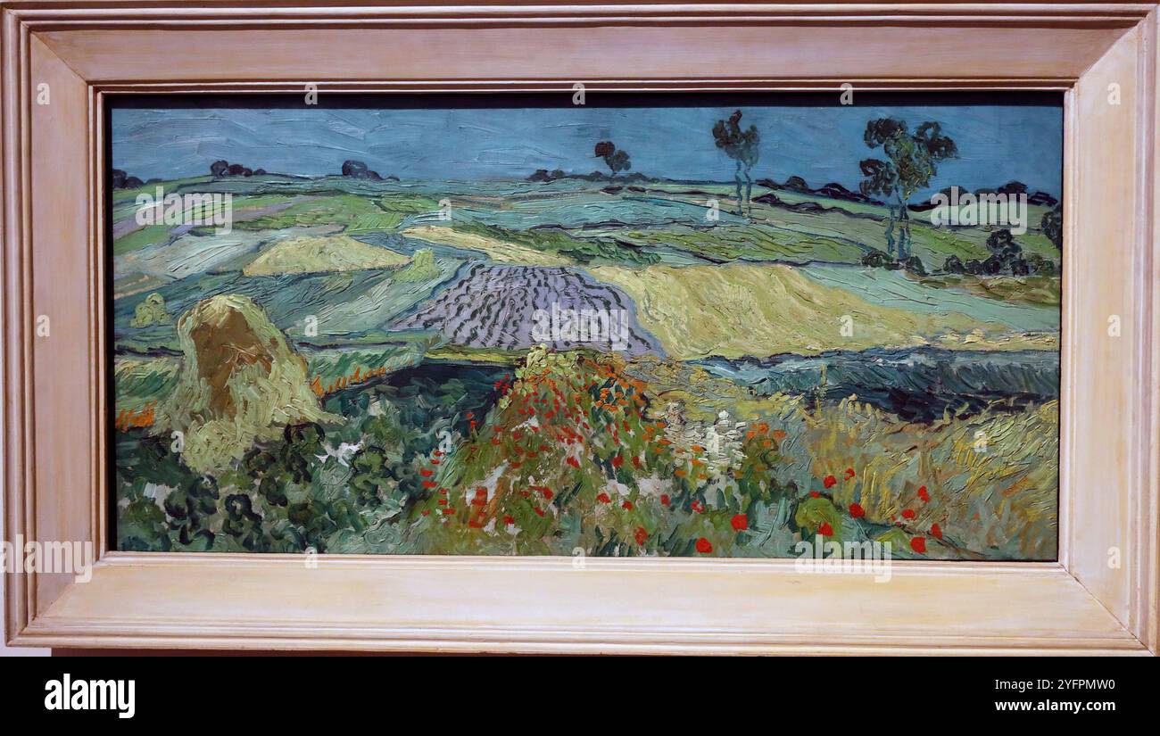 Museo del Belvedere. Vincent van Gogh 1853 - 1890. La pianura di Auvers. 1890. Vienna. Austria. Foto Stock