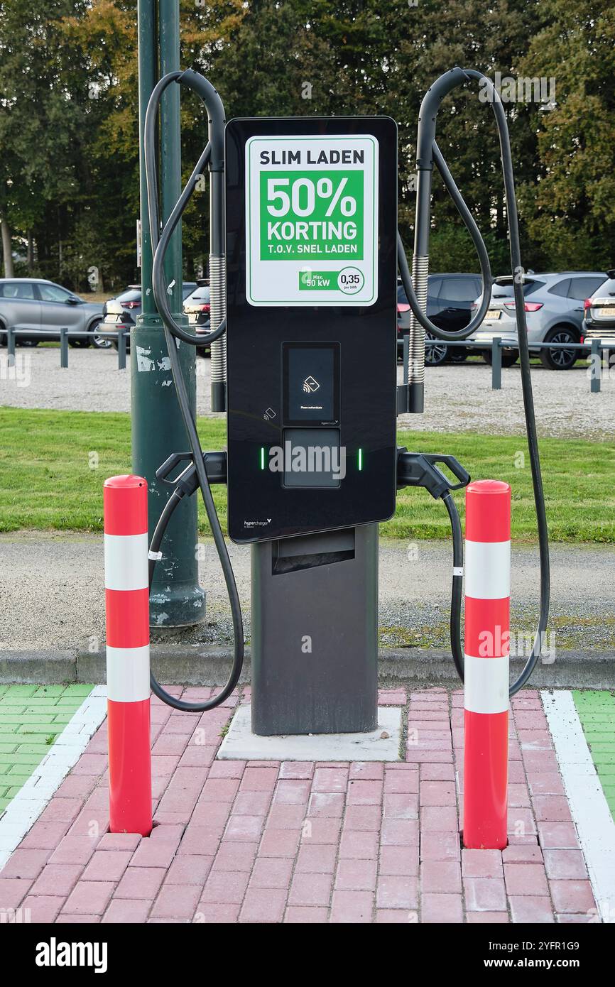 Energia rinnovabile nei Paesi Bassi: Una stazione di ricarica EV a doppia ricarica rapida con adesivo promozionale presso Green Planet di Pesse. Foto Stock