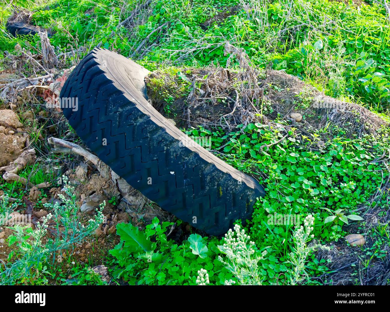 Uno pneumatico in gomma di un veicolo stradale in dumping consumato dalla vegetazione con rischio di tossine inquinanti a causa dei materiali non biodegradabili Foto Stock