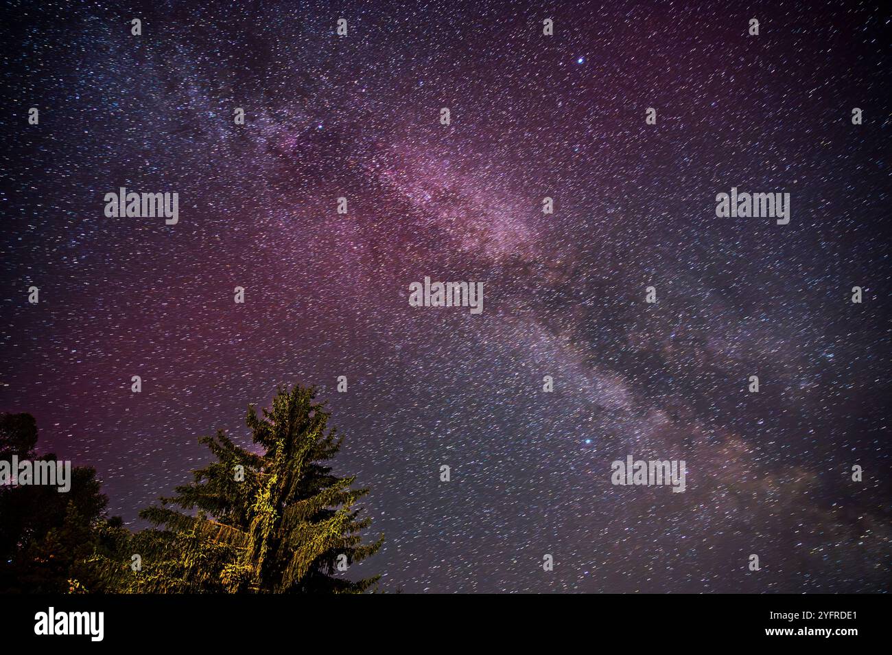 Molte migliaia di stelle nel cielo notturno estivo, via Lattea e Nebula, pista per aerei e satelliti, luce viola dell'aurora boreale, cima di alberi verdi. repubblica Ceca Foto Stock