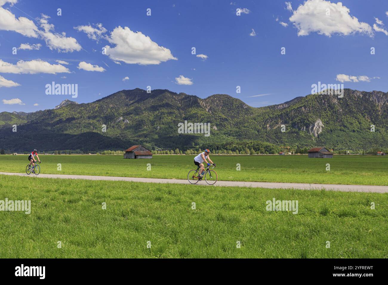 Ciclista, ciclismo, sport per il tempo libero, soleggiato, luminoso, Spring, Loisach-Lake Kochel-Moor, Prealpi alpini, Baviera, Germania, Europa Foto Stock