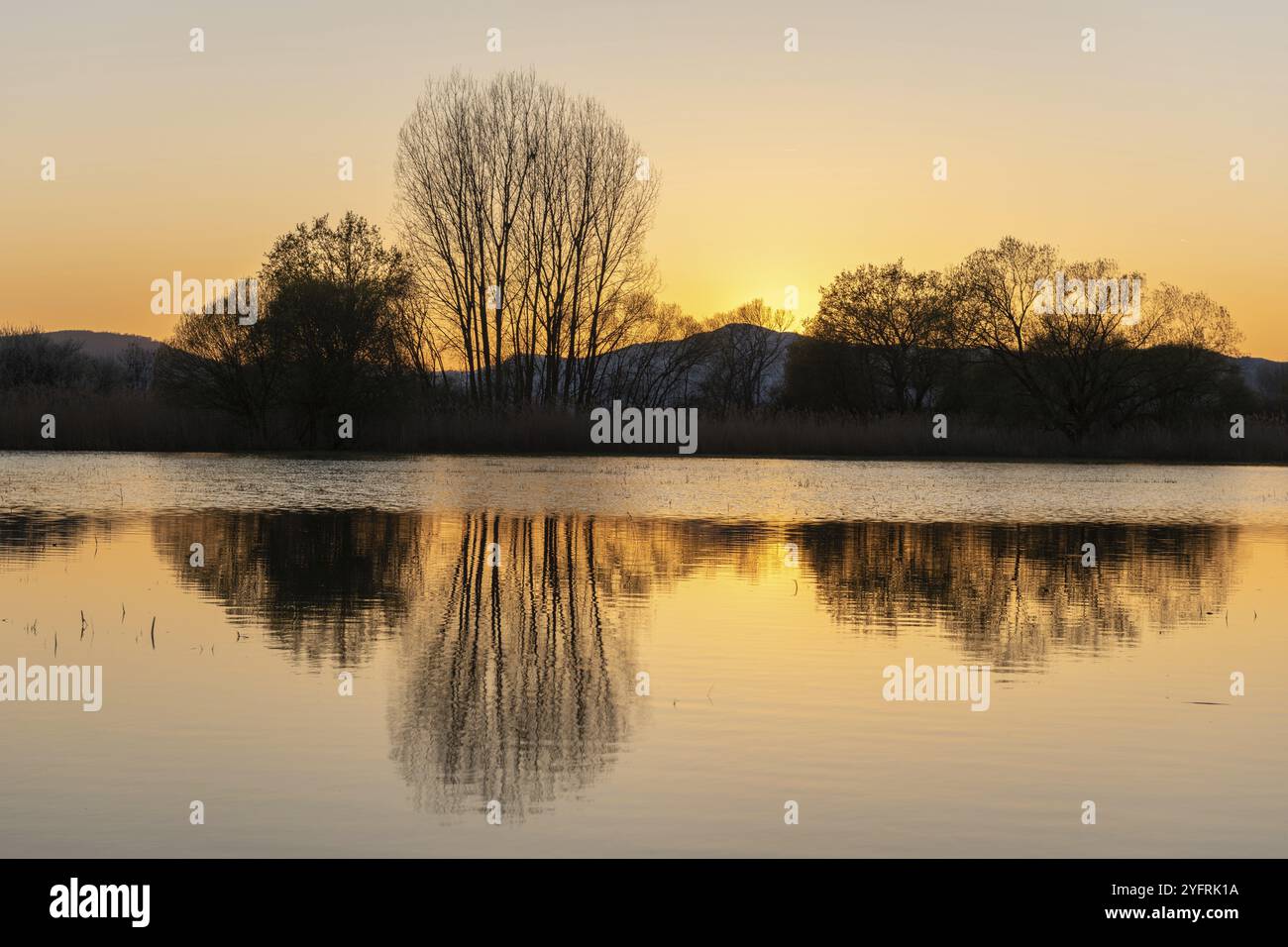 Prato allagato al tramonto con riflessi nell'acqua. Alsazia, Francia, Europa Foto Stock