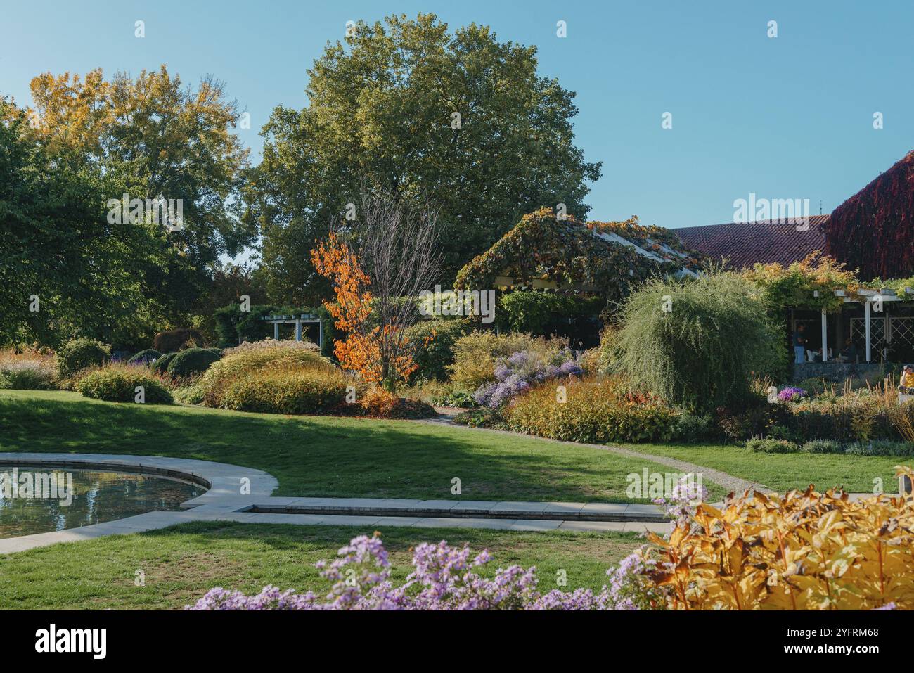 Parco verde e albero in giardino sotto lo sfondo del tramonto. esercizio fisico e relax. Natura di foglie verdi in giardino d'estate. Foglie verdi naturali che utilizzano Foto Stock