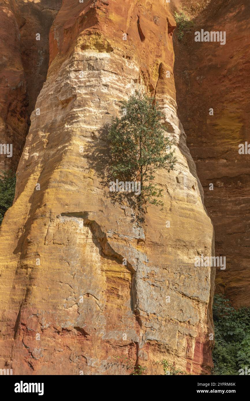 Luberon ocra vicino al villaggio di Roussillon. Meraviglia geologica in Provenza Foto Stock