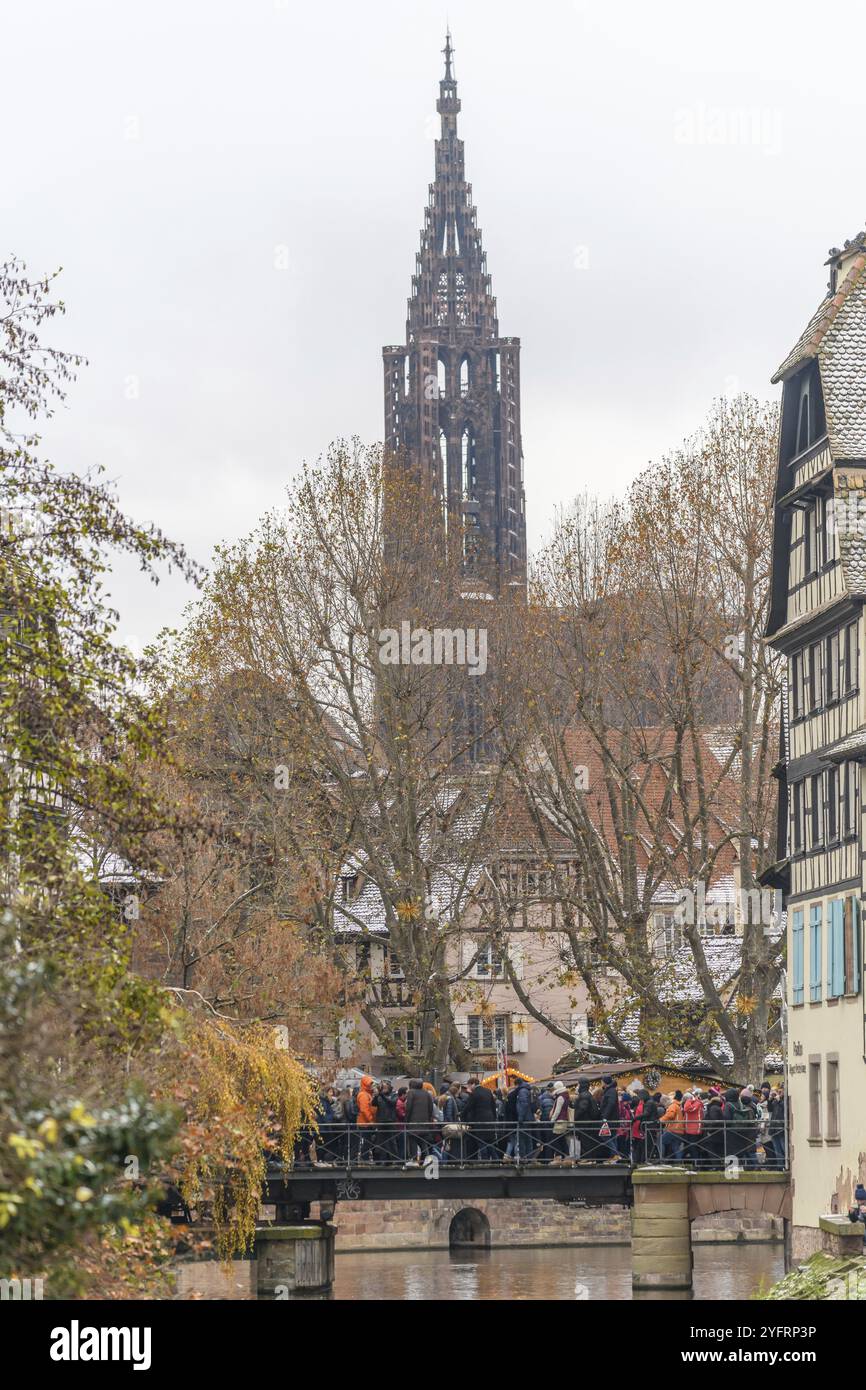 La grande cattedrale di notre dame vista da Little France a Strasburgo nel periodo natalizio. BAS-Rhin, Alsazia, Grand Est, Francia, Europa Foto Stock