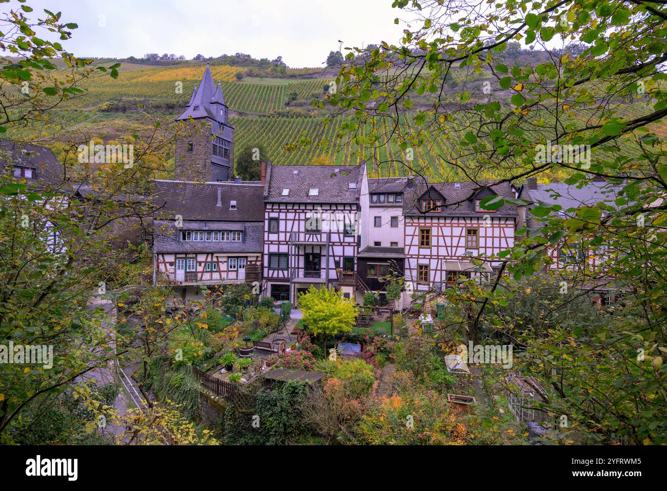 Vecchie case in legno e vigneti circostanti a Bacharach am Rhein (Mainz-Bingen, Rheinland-Pfalz), Germania. Foto Stock