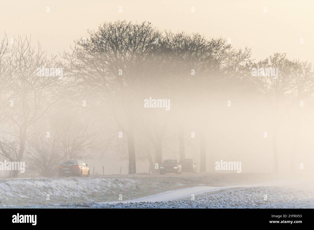 Auto su una strada ghiacciata in inverno. BAS-Rhin, Alsazia, Grand Est, Francia, Europa Foto Stock